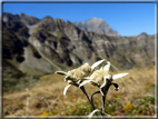 foto Monte Teggiolo